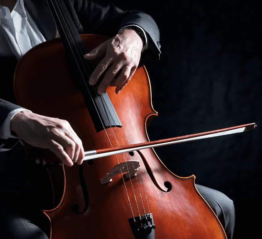 banner-image